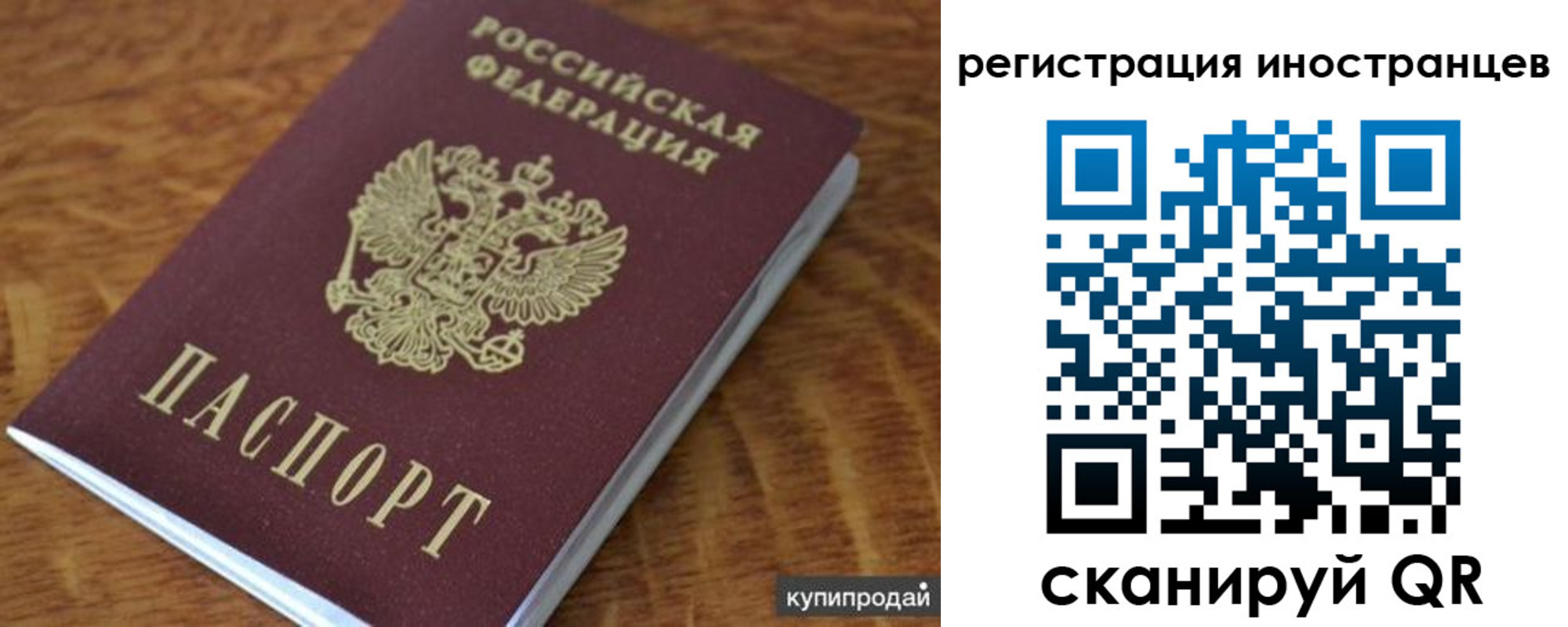 временная регистрация поиск в Мытищах